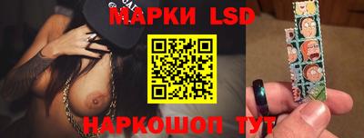 стаф Можга