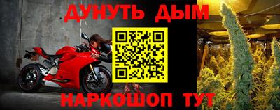 стаф Можга