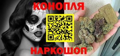 стаф Можга