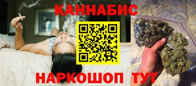 стаф Можга