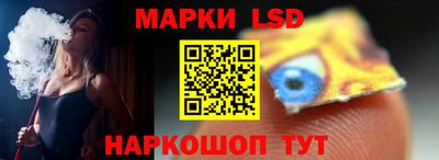 стаф Можга