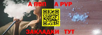 стаф Можга