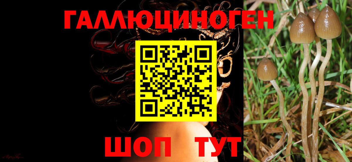 Псилоцибиновые грибы Magic Shrooms Бузулук